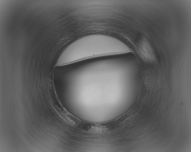 X0000054460455200507291026