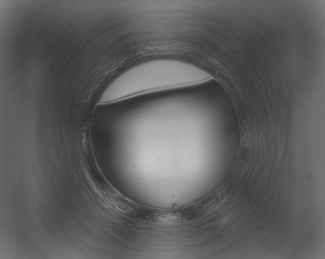 X0000054460456200507291026