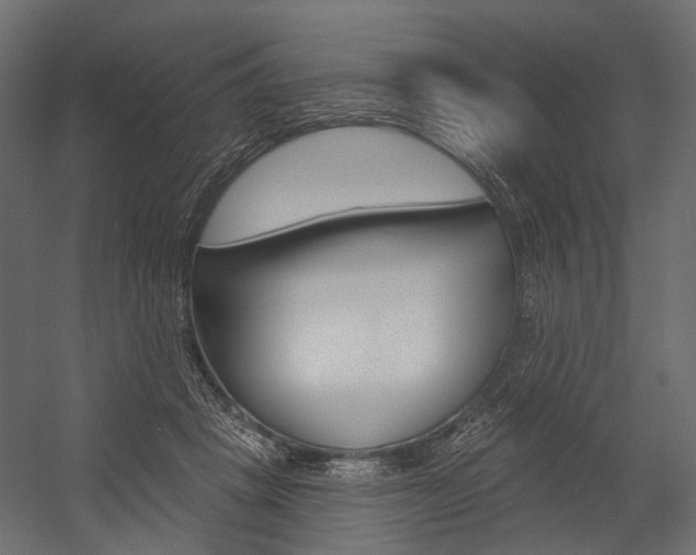 X0000054460457200507291026