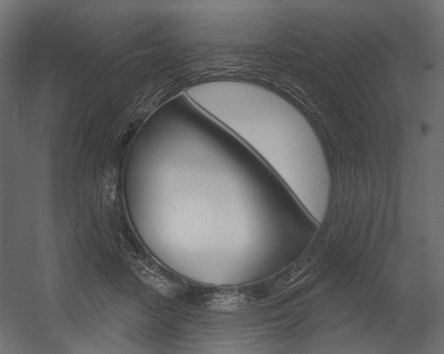 X0000054460458200507291026