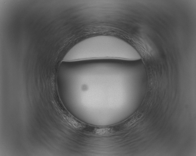 X0000054460461200507291026