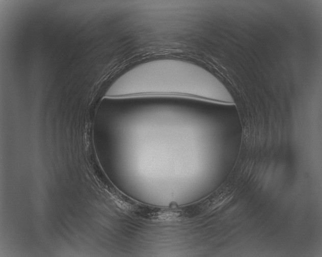 X0000054460462200507291026