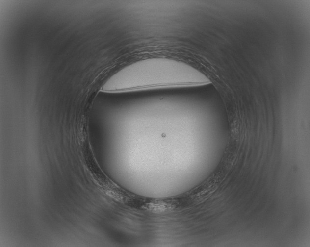 X0000054460464200507291026