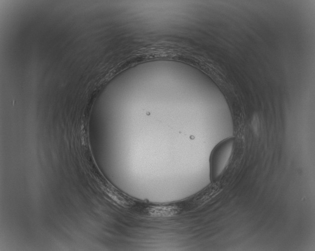X0000054460465200507291026