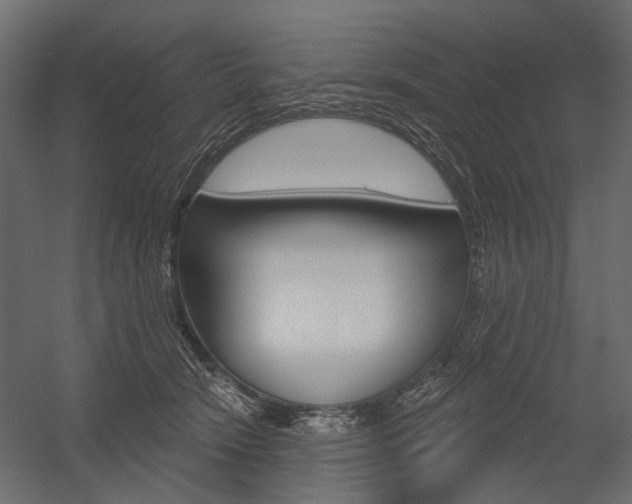 X0000054460466200507291026