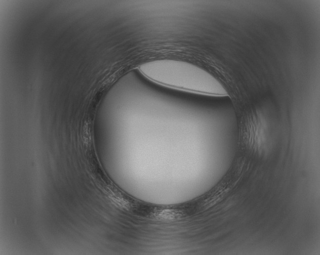 X0000054460467200507291026