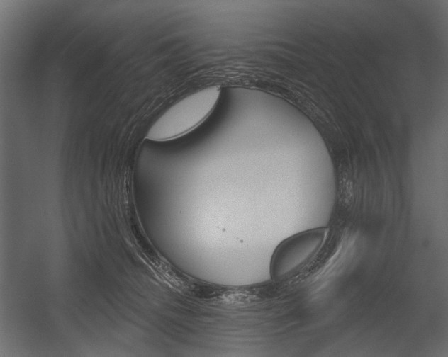 X0000054460468200507291026