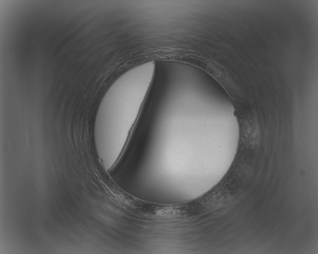 X0000054460470200507291026