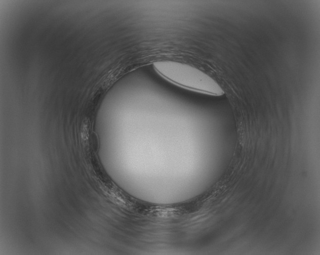 X0000054460472200507291026