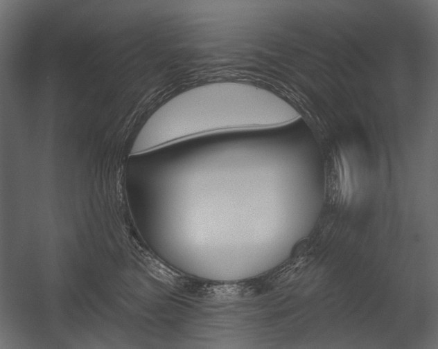 X0000054460473200507291026