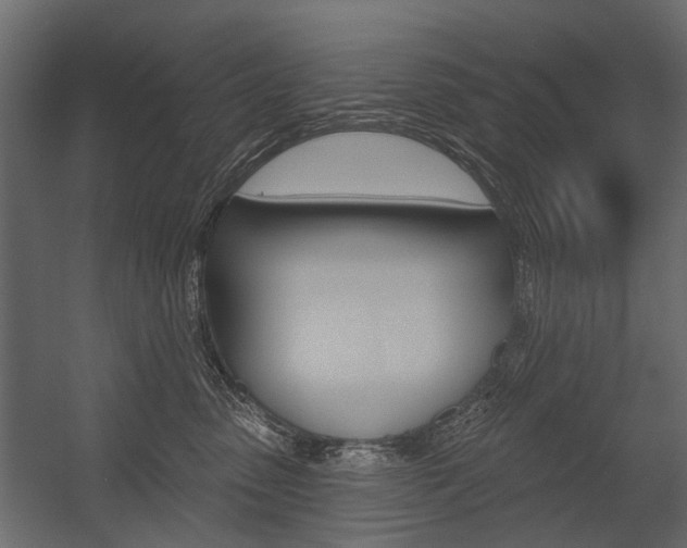 X0000054460475200507291026
