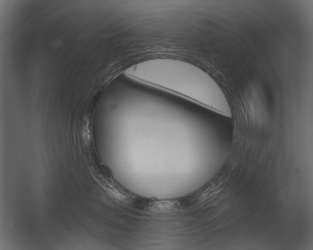 X0000054460479200507291026