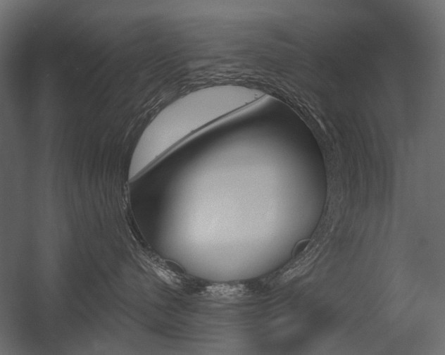 X0000054460480200507291026