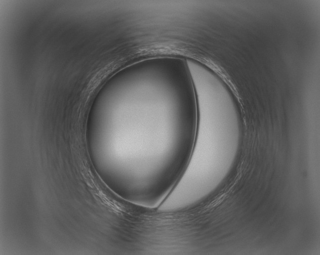 X0000054460481200507291025