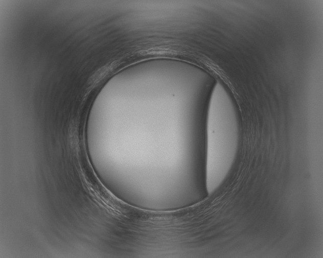 X0000054460482200507291025