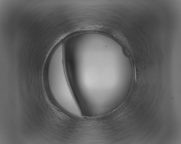 X0000054460483200507291025