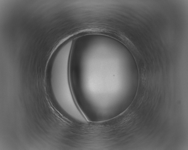 X0000054460484200507291025