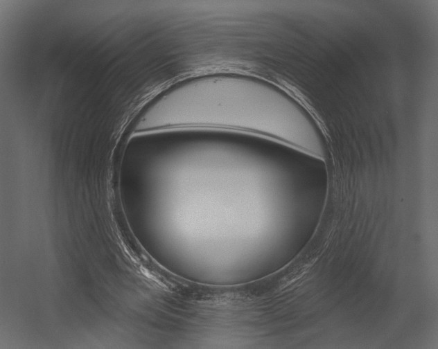 X0000054460485200507291025