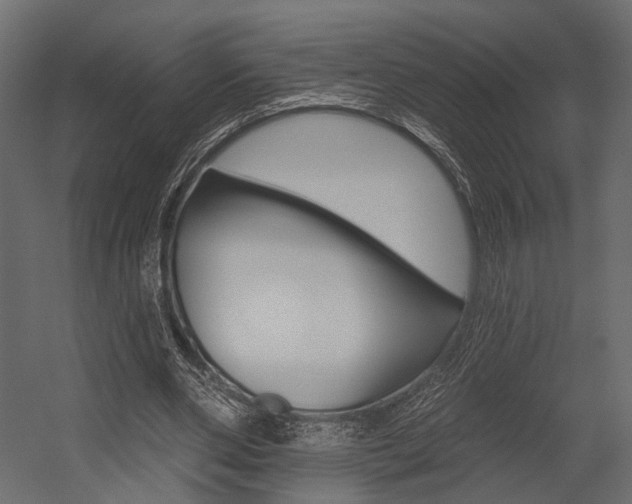 X0000054460486200507291025