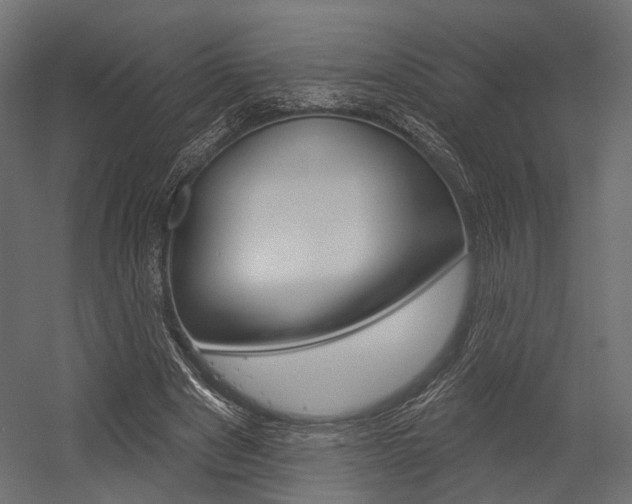 X0000054460489200507291025