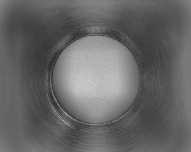 X0000054460490200507291025