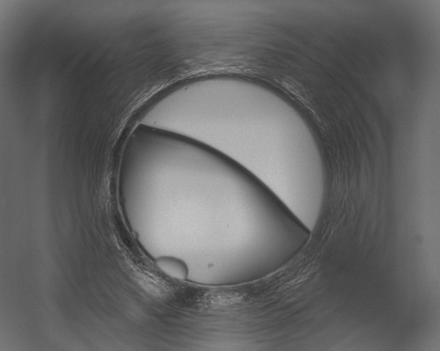 X0000054460491200507291025