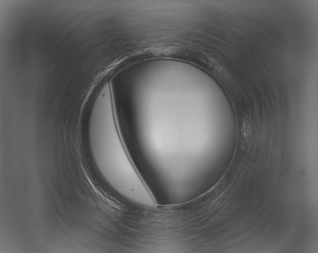 X0000054460492200507291025
