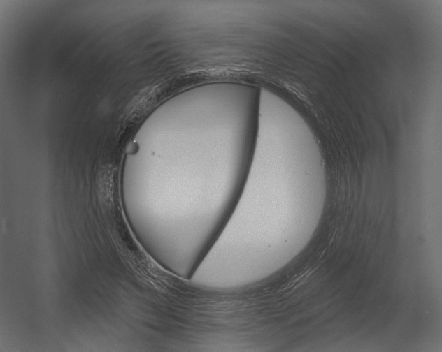 X0000054460495200507291025