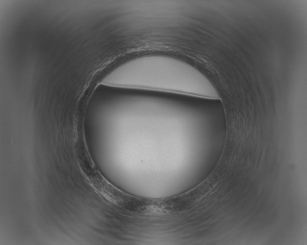 X0000054460496200507291025