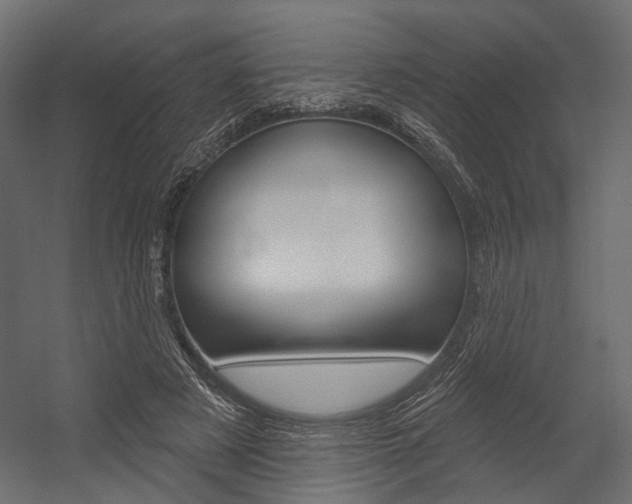 X0000054460497200507291025