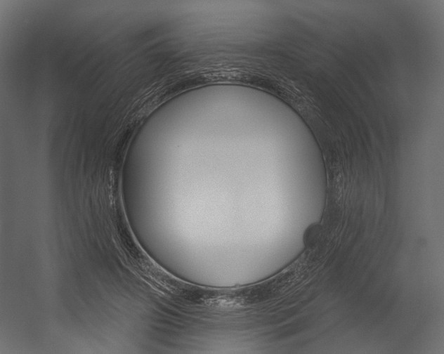 X0000054460498200507291025