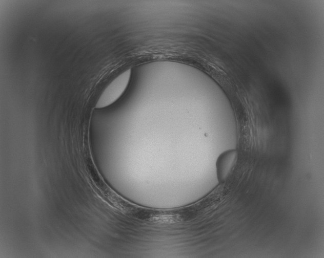 X0000054460499200507291025