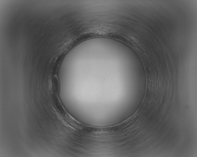 X0000054460500200507291025