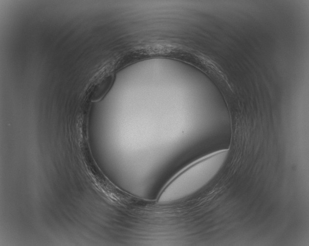 X0000054460501200507291025