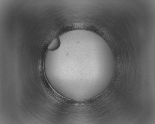 X0000054460502200507291025