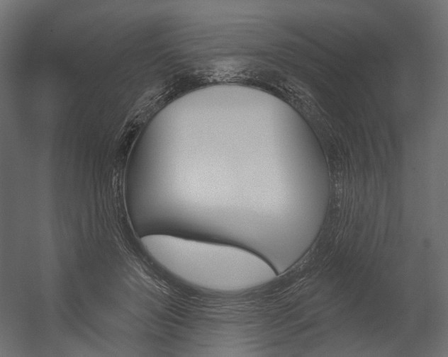 X0000054460503200507291025