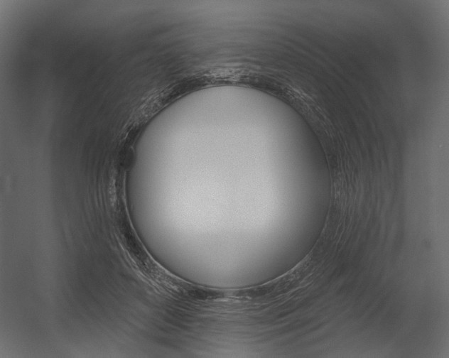 X0000054460504200507291025