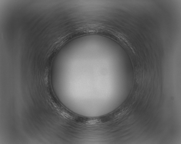 X0000054460505200507291025