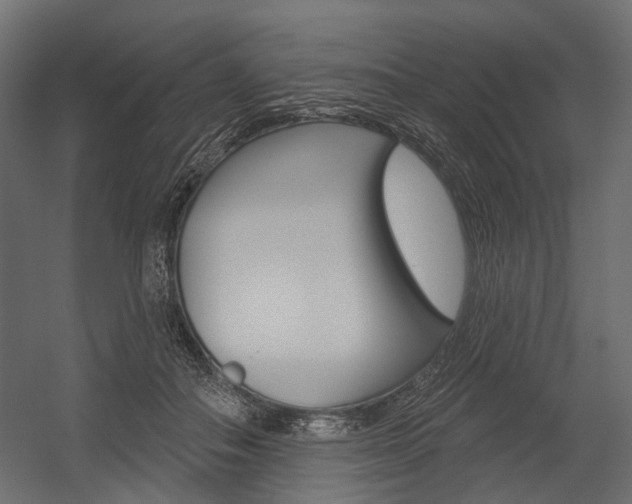 X0000054460506200507291025