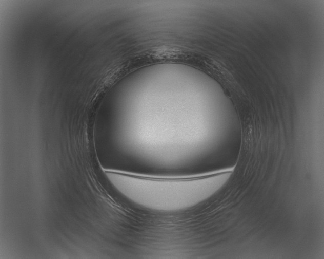 X0000054460508200507291025
