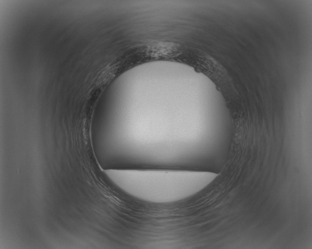 X0000054460510200507291025