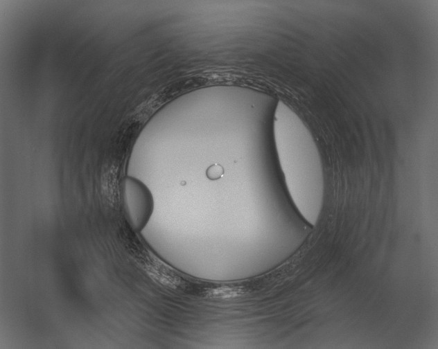 X0000054460511200507291025