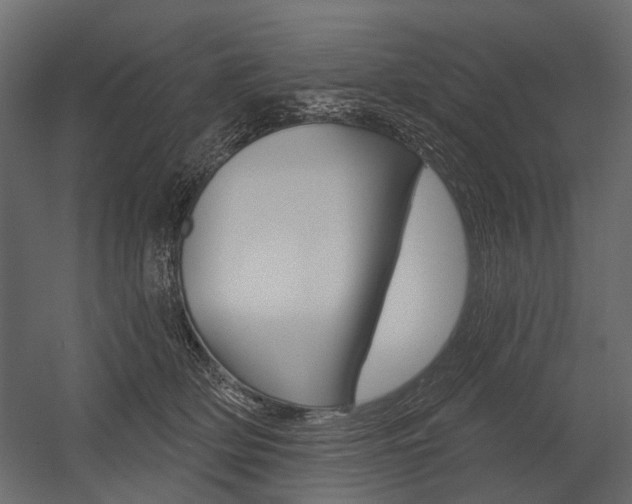 X0000054460514200507291025