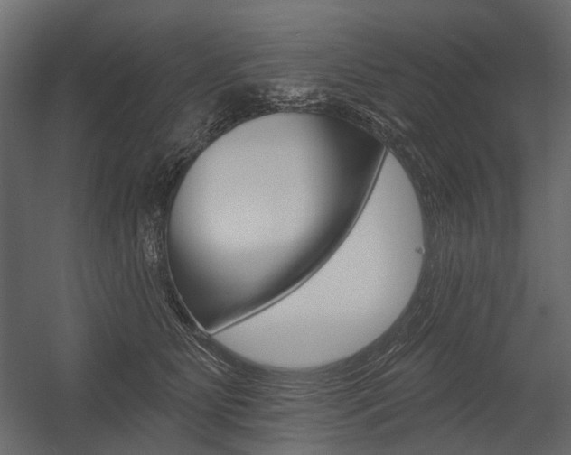 X0000054460515200507291025
