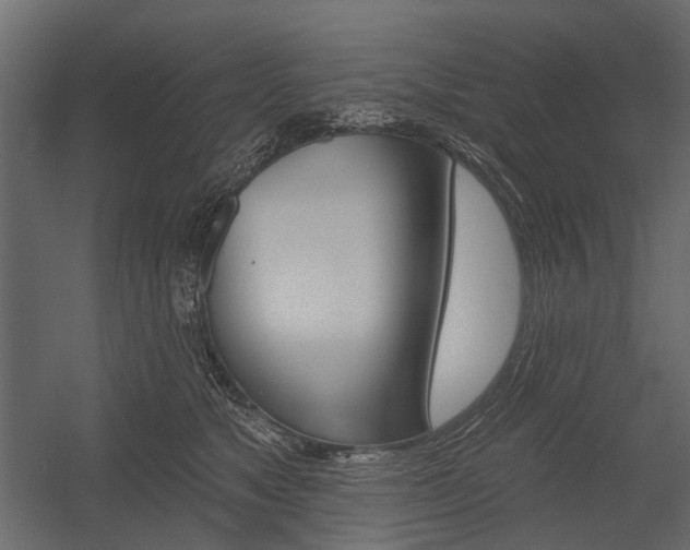 X0000054460517200507291025
