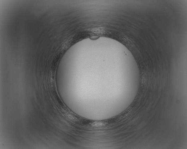 X0000054460518200507291024