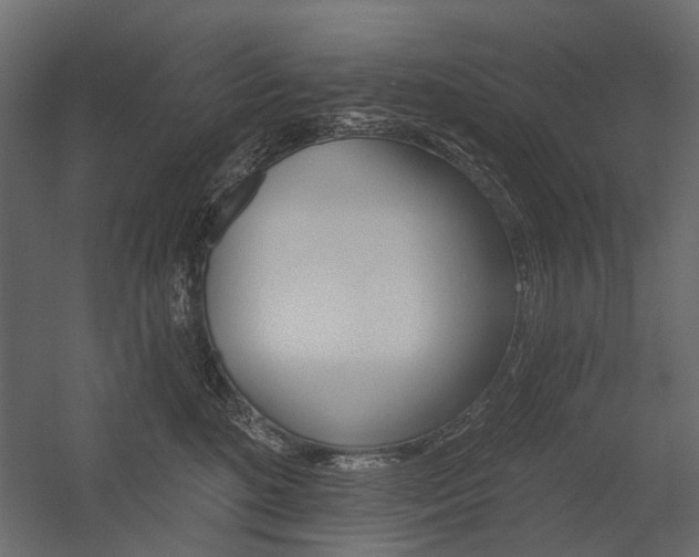 X0000054460520200507291024