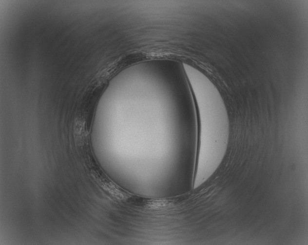 X0000054460521200507291024