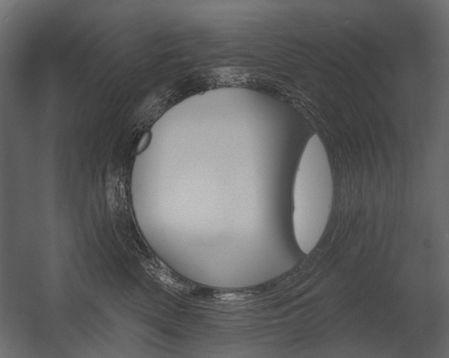 X0000054460522200507291024
