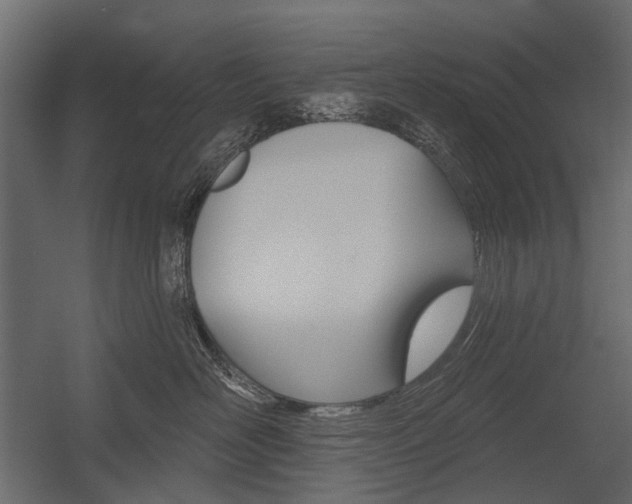 X0000054460526200507291024